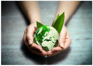 MVO milieu verantwoord ondernemen, duurzaam en circulair.
