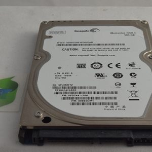 ST9500420ASG , 9PSG44-300